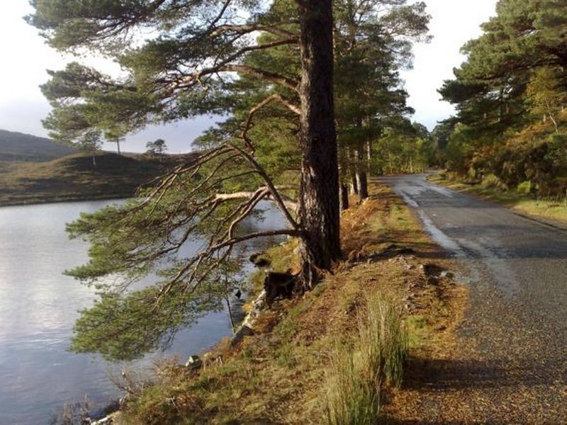 shieldaig glen on the road to torridon